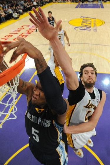 仍需以试训 仍需以试训